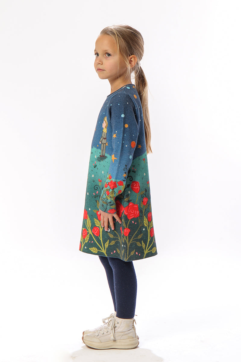 The Little Prince Dress